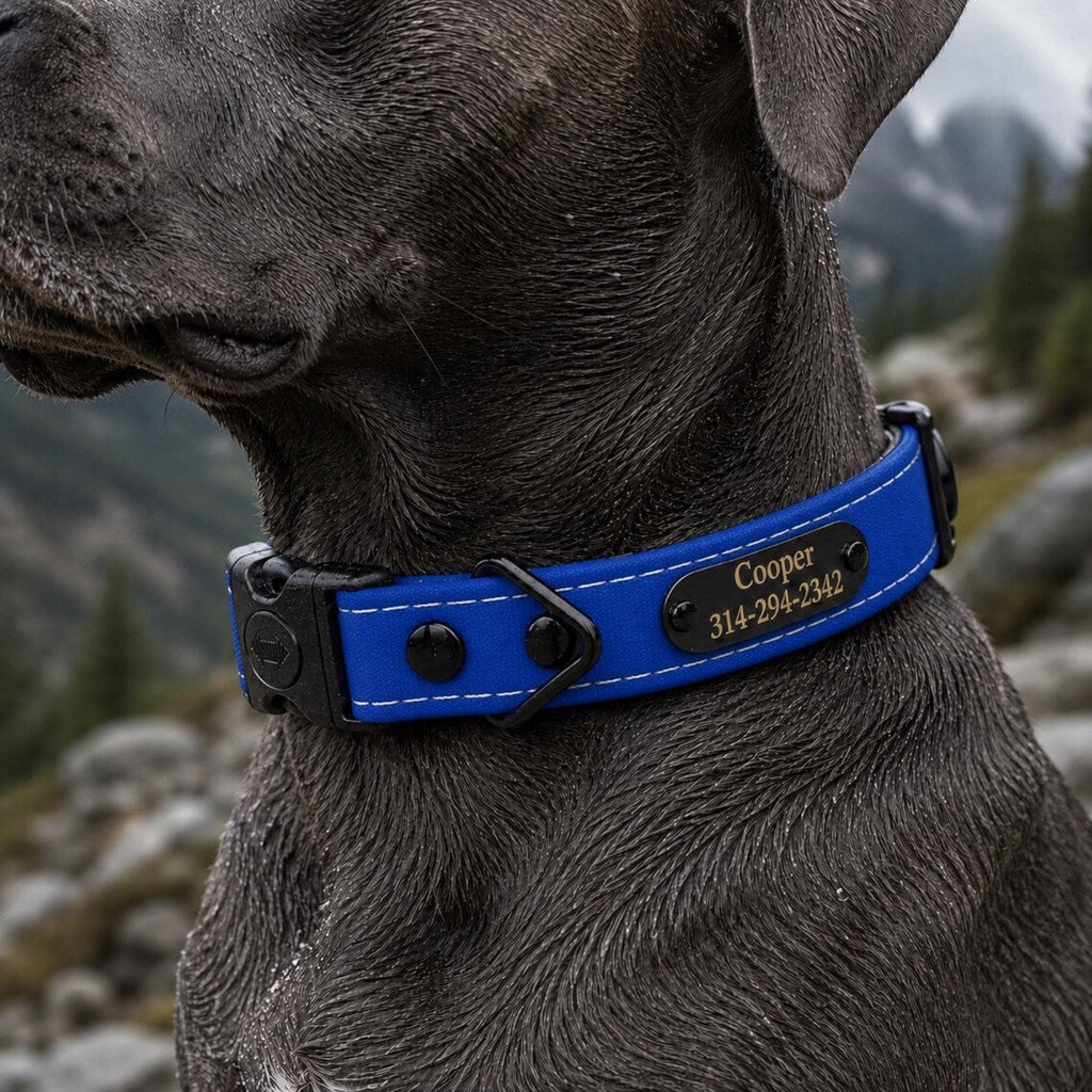 Rugged Waterproof AirTag Dog Collar with Holder
