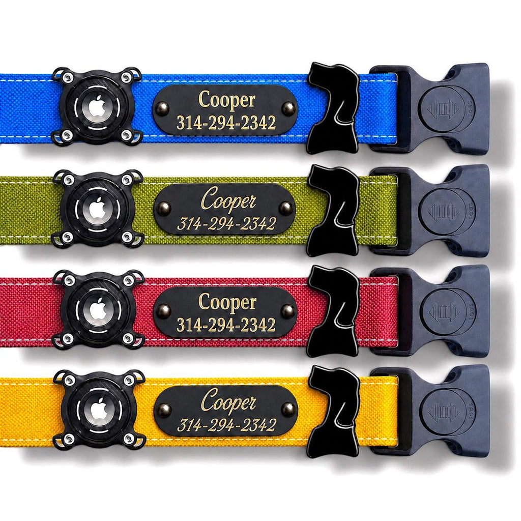 Rugged Waterproof AirTag Dog Collar with Holder